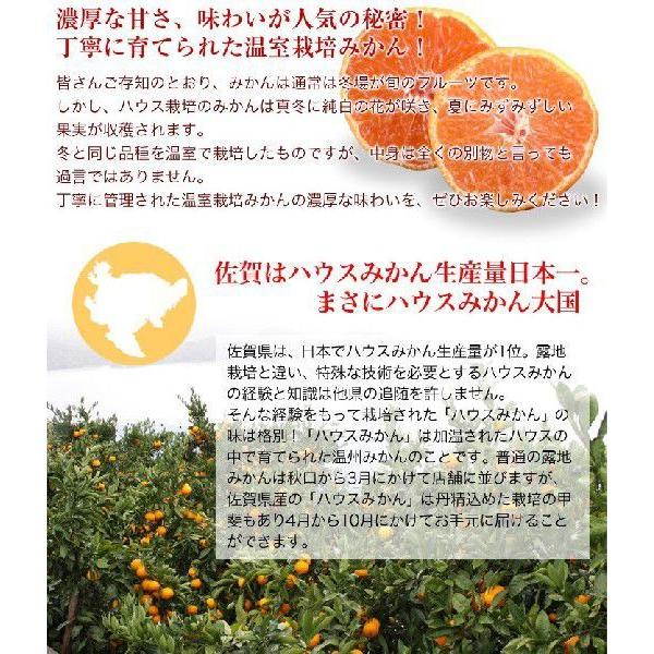 佐賀県産 ハウス みかん 5kg お中元 ギフト 送料無料 果物ギフト