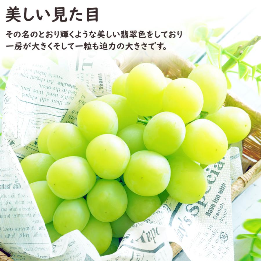 シャインマスカット マスカット ぶどう ブドウ 約3kg 5~7房 山梨 果物