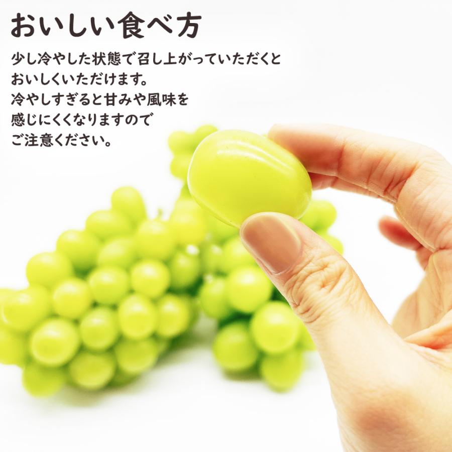 シャインマスカット マスカット ぶどう ブドウ 約3kg 5~7房 山梨 果物