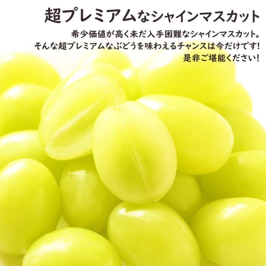 シャインマスカット 幸水梨 セット お中元 御中元 暑中見舞い 残暑