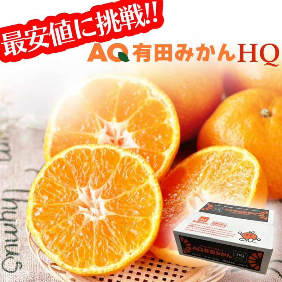 最安値に挑戦】ケース 箱売り AQ有田みかんHQ 有田みかん 和歌山 5kg L