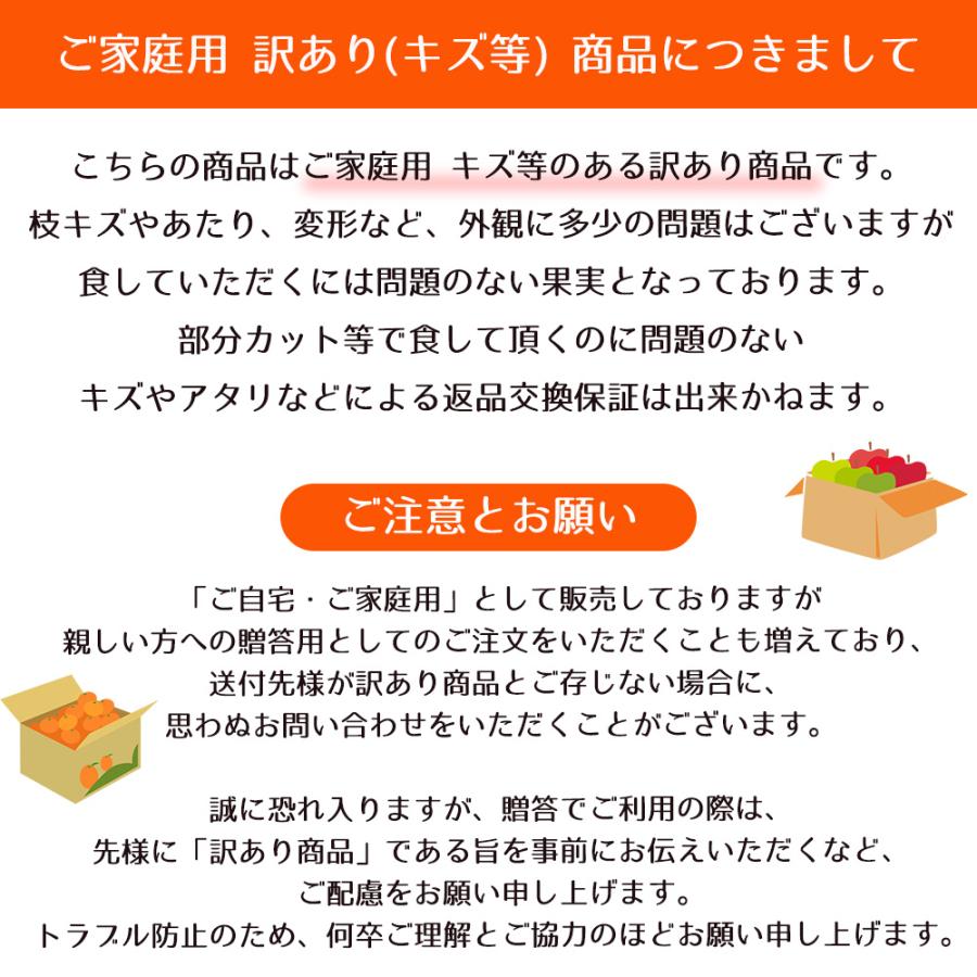 最安値に挑戦】箱売り 王秋梨 おうしゅうなし なし 大特価 5kg 10〜12