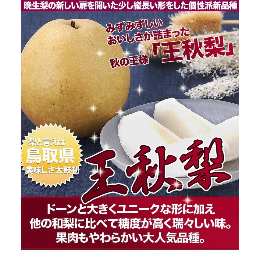 最安値に挑戦】箱売り 王秋梨 おうしゅうなし なし 大特価 5kg 10〜12