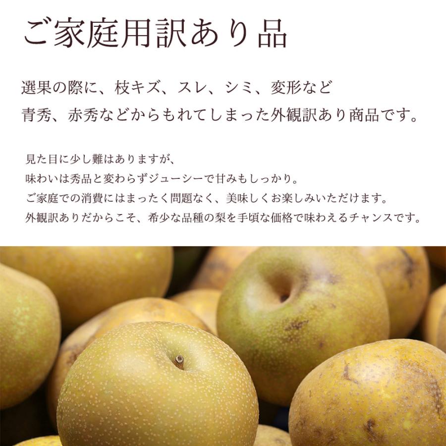 最安値に挑戦】箱売り 王秋梨 おうしゅうなし なし 大特価 5kg 10〜12