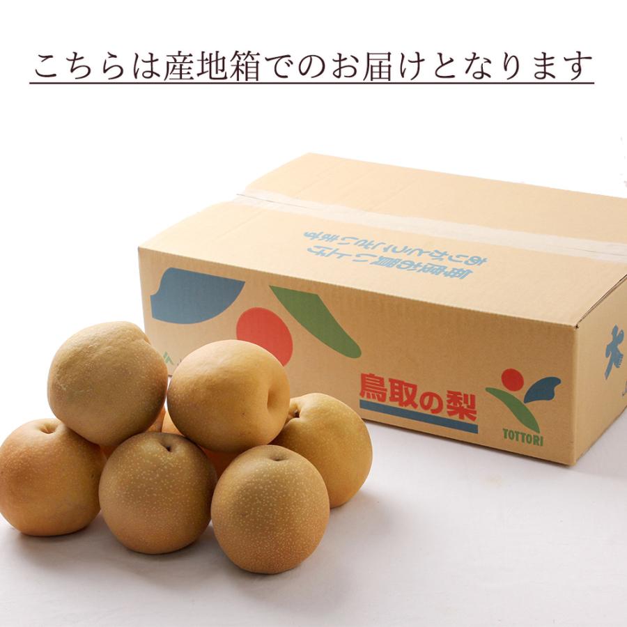 最安値に挑戦】箱売り 王秋梨 おうしゅうなし なし 大特価 5kg 10〜12