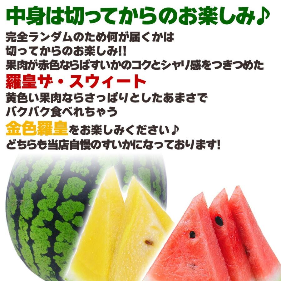 大特価】数量限定 山形県産 金色羅皇 or 羅皇ザ・スウィート 西瓜