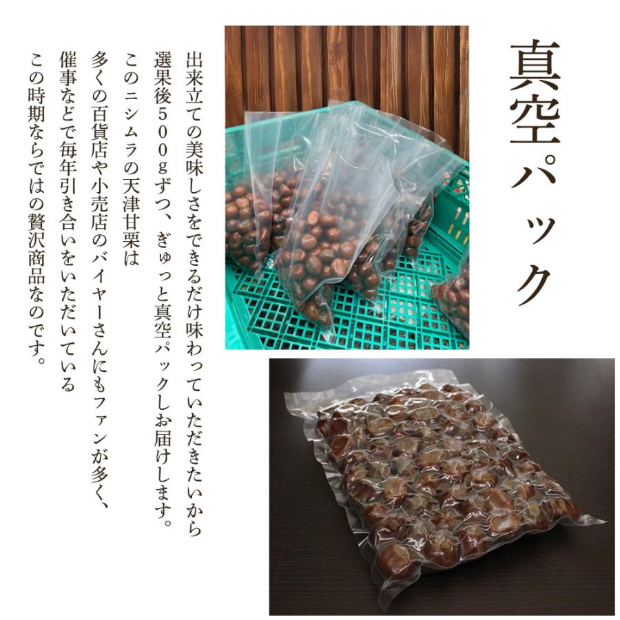 天津甘栗 3kg （500g×6） 甘栗 栗 あまぐり 焼き栗 くり 殻付き 天然