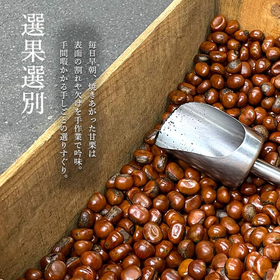 天津甘栗 5kg （500g×10） 甘栗 栗 あまぐり 焼き栗 くり 殻付き 天然