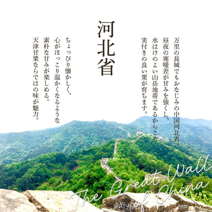 天津甘栗 10kg （500g×20） 甘栗 栗 あまぐり 焼き栗 くり 殻付き 天然