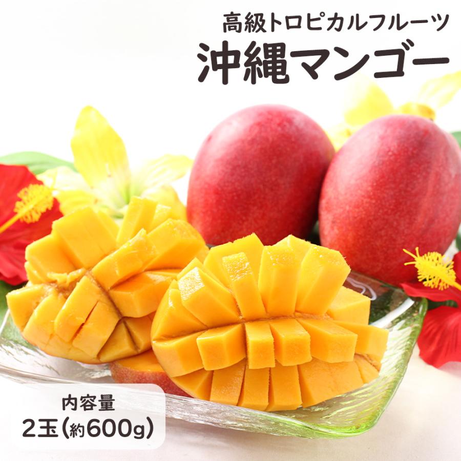 沖縄県産 アップルマンゴー 2玉 600g お中元 お祝い お供え 感謝 お礼 