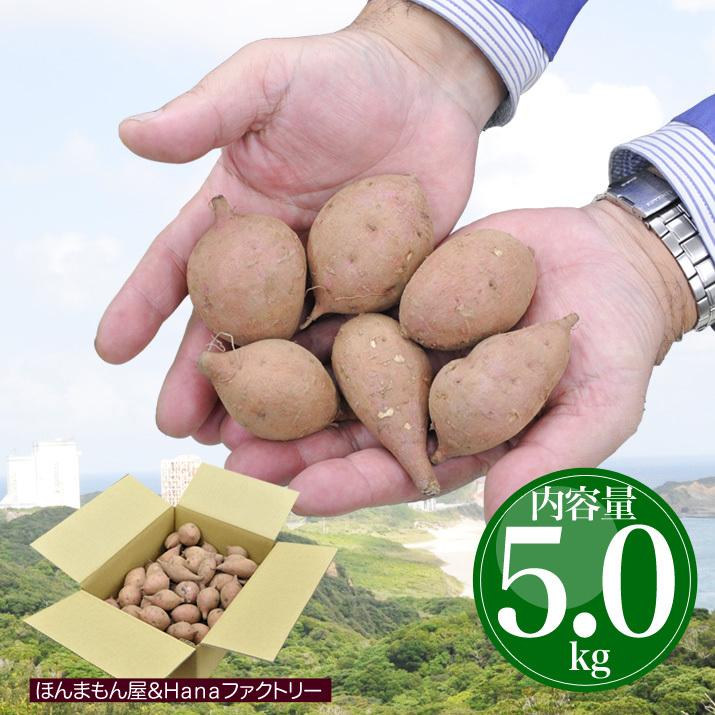 安納芋 種子島産 極小サイズ 送料無料 訳あり 5kg 小さいミニ 安納芋 種子島産 極小サイズ 送料無料 訳あり 5kg 小さいミニ