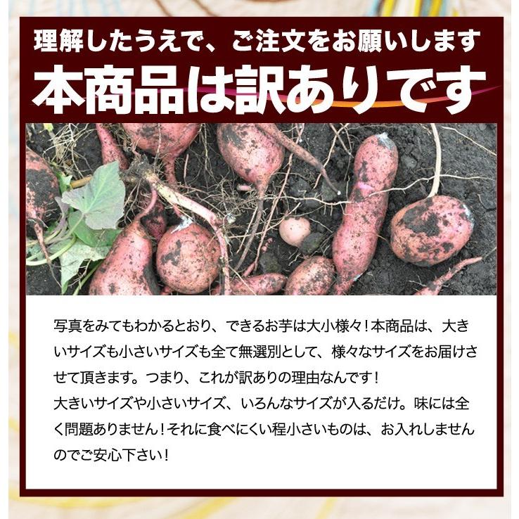 セール中!!】さつまいも 安納芋 種子島産 送料無料 訳あり 無 セール中!!】さつまいも 安納芋 種子島産 送料無料 訳あり 無