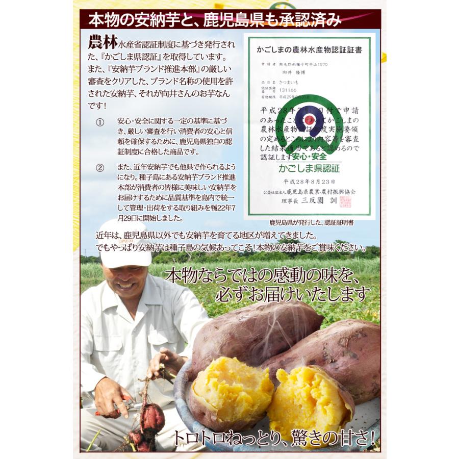 セール中!!】さつまいも 安納芋 種子島産 送料無料 訳あり 無 セール中!!】さつまいも 安納芋 種子島産 送料無料 訳あり 無