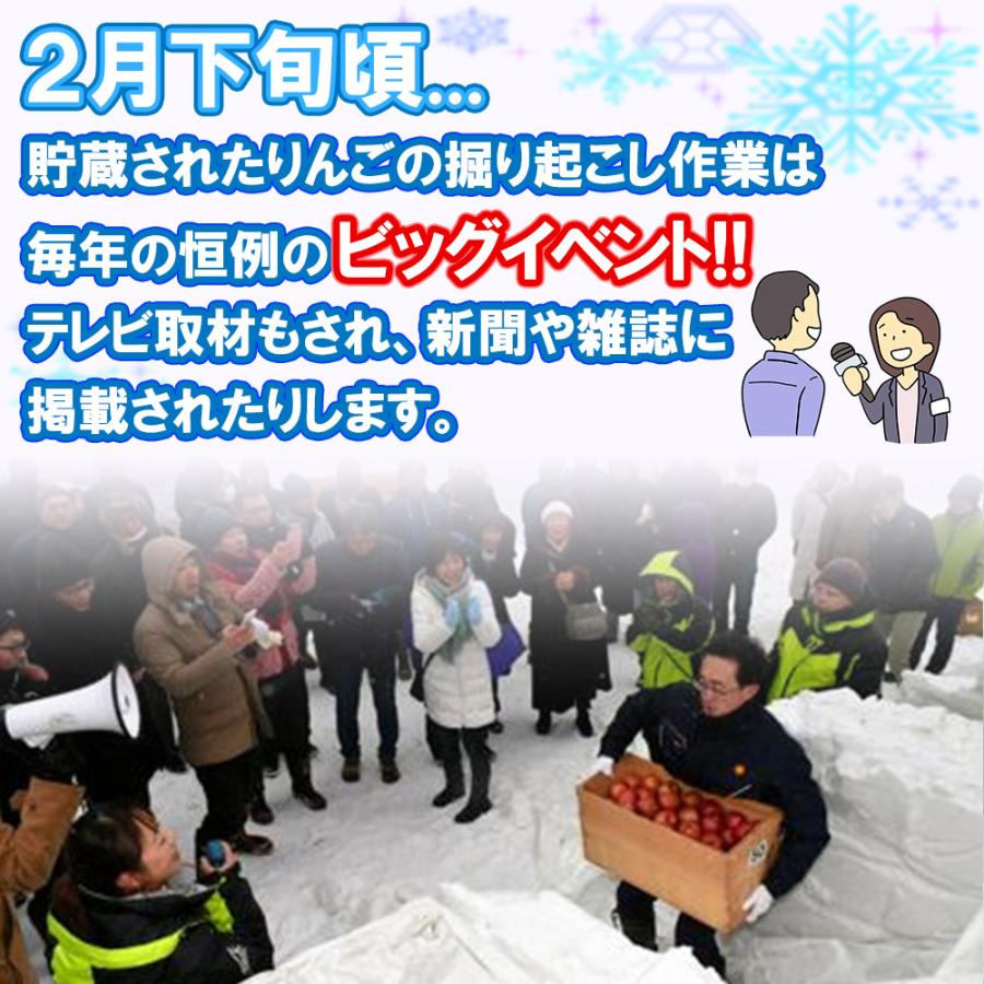 豪雪地帯で熟成 「雪貯蔵サンふじりんご」 約3kg 化粧箱入 青森県 雪
