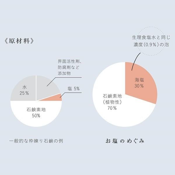 汗や加齢臭等の体臭対策に お塩のめぐみ C カテキン せっけん 石けん 石鹸 天然由来 低刺激 敏感肌 アトピー 赤ちゃん Rl ほの 通販 Yahoo ショッピング