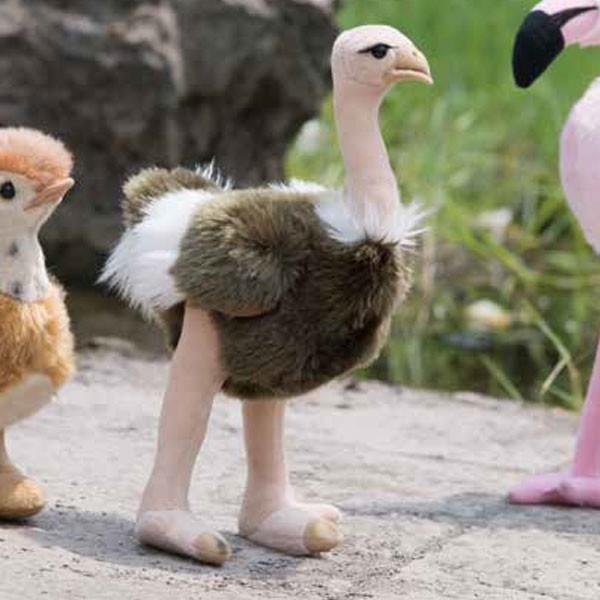 リアルで優しいぬいぐるみ 100 1 ダチョウ だちょう 動物 アニマル Ts ほの 通販 Yahoo ショッピング