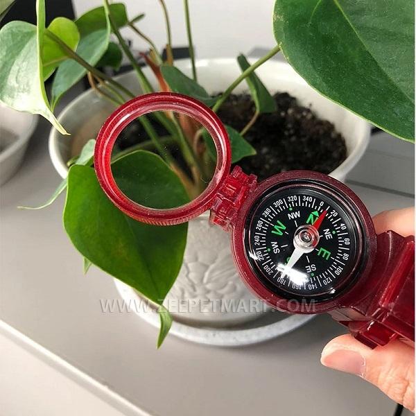 【限定品】 双眼鏡　safari（サファリ）探検キット×24個　自然 科学 コンパス 拡大鏡 観察 【B3183949021】(16262円)