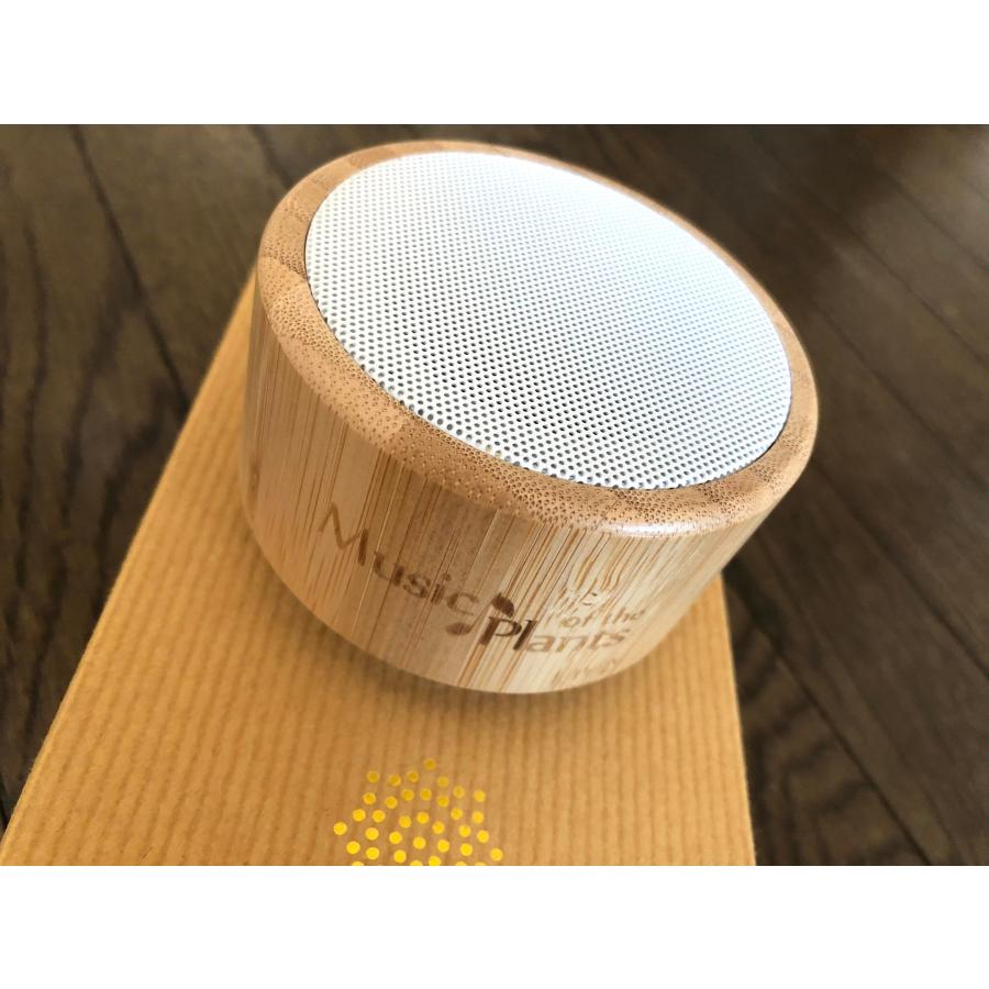 イチョウ（植物の音楽ポータブルデバイス） Music of The Plants イチョウ : ホノカ社 - 通販 - Yahoo!ショッピング