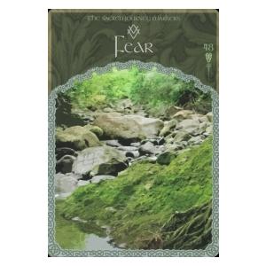 ウィズダムオブアヴァロンオラクルカード 復刻版 : ホノカ社 - 通販