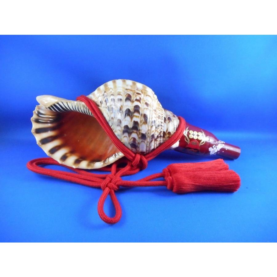 新発売戦国歌口木製赤備え法螺貝真田幸村六文銭家紋入り（桜）ほら貝ホラ貝ほらがいホラガイシェルトランペット戦国山伏修験グッズ五月人形