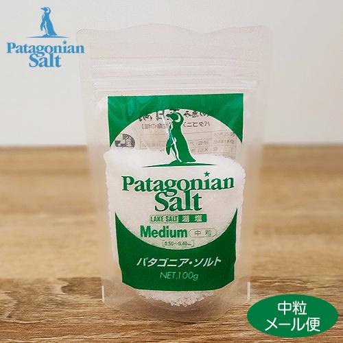 まろやか 旨味 塩 パタゴニア ソルト 100g(大粒/中粒/細粒からお選びください) メール便アルゼンチン 湖塩 うまみ | 大雪 | 02