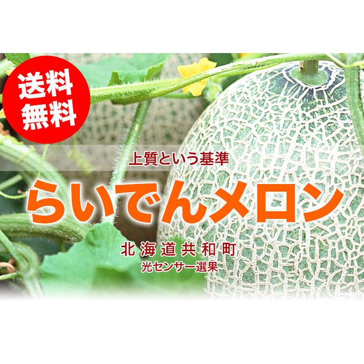 北海道らいでんメロン（赤肉）1玉 約1.3kg以上 共撰 優品以上 : 本舗