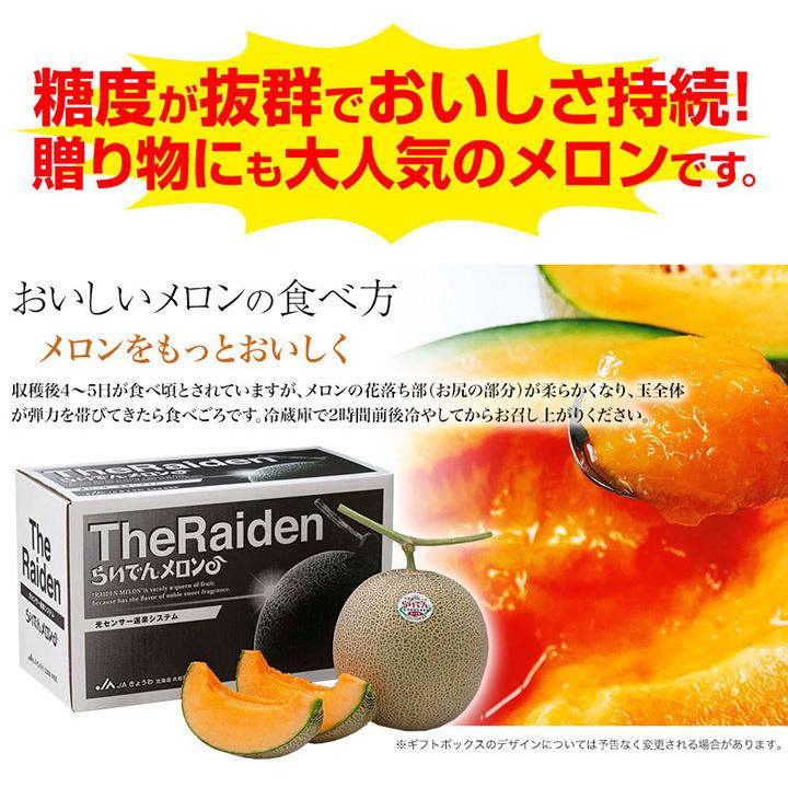 北海道らいでんメロン 赤肉 1玉 約1 6kg以上 共撰 優品以上 Ms 004 本舗オンラインストア Yahoo 店 通販 Yahoo ショッピング