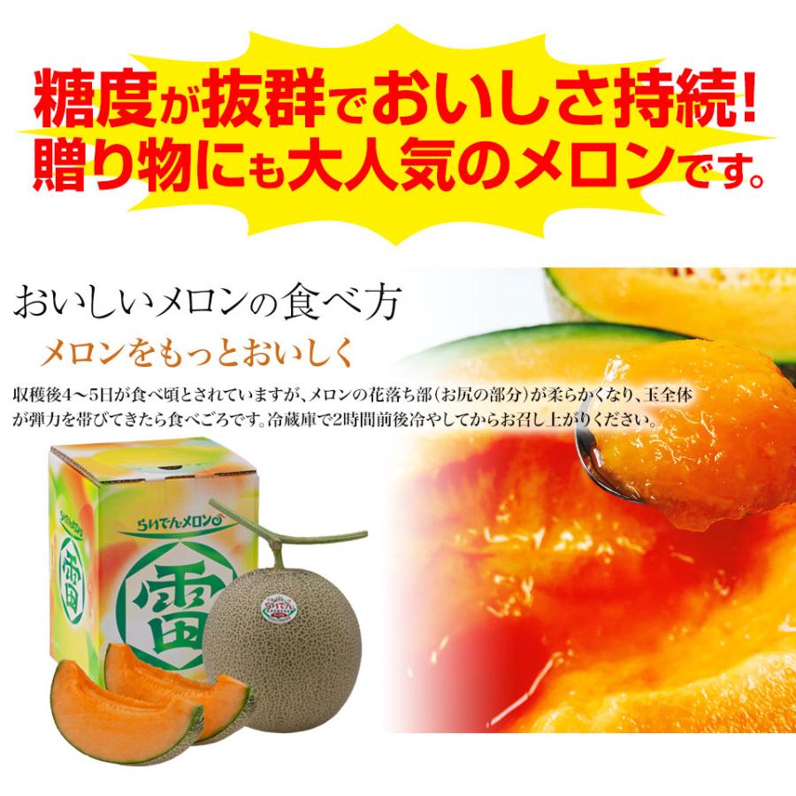 北海道らいでんメロン（赤肉）1玉 約1.3kg以上 共撰 優品以上 : 本舗