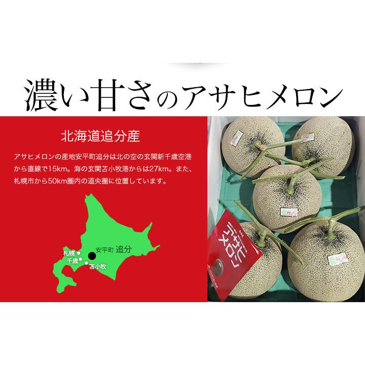 北海道アサヒメロン（赤肉）1玉 約1.6kg以上 : 本舗オンラインストア