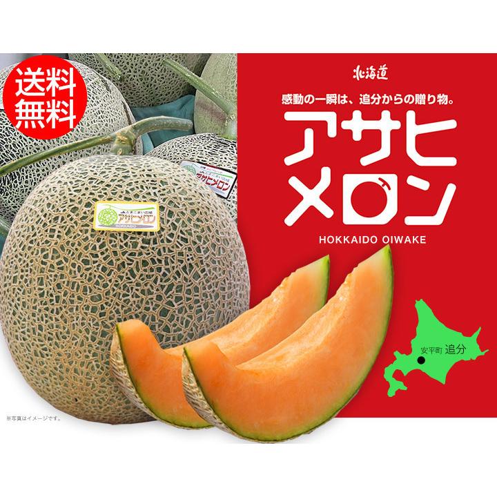 北海道アサヒメロン（赤肉）2玉 1.6kg以上 : 本舗オンラインストア