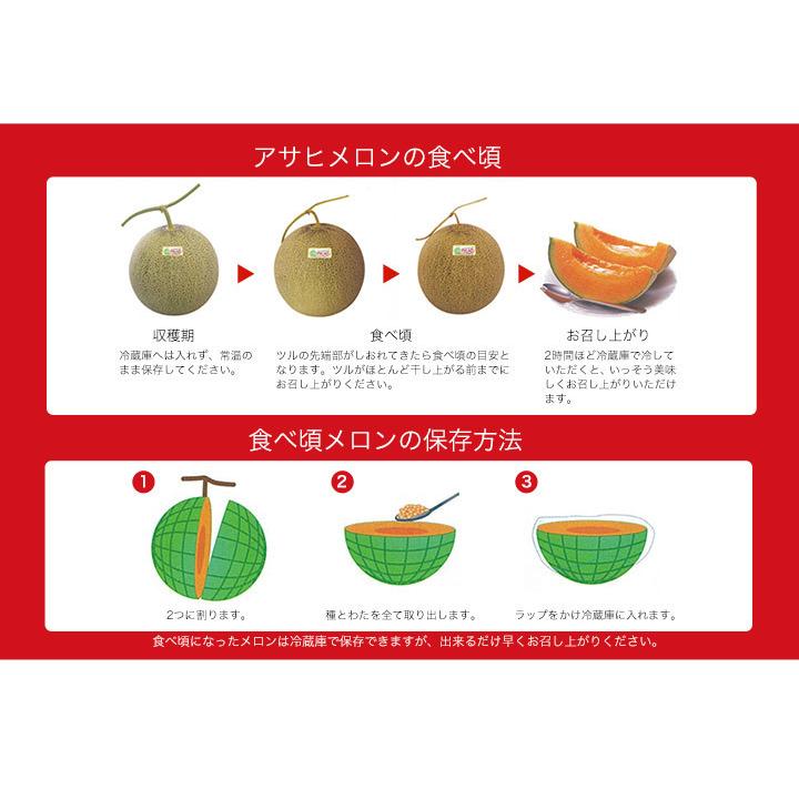 北海道アサヒメロン（赤肉）2玉 1.6kg以上 : 本舗オンラインストア