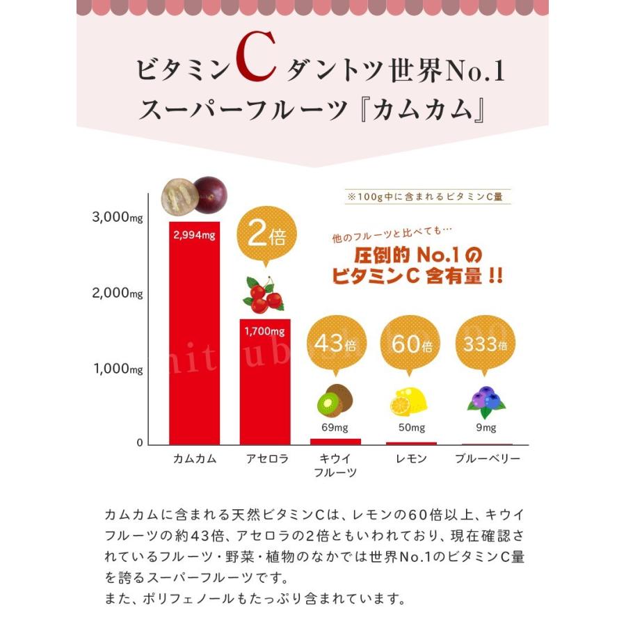 カムカム 粉 粉末 パウダー カムカムパウダー 30g×6袋セット 無農薬