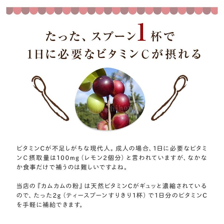 カムカム 粉 粉末 パウダー カムカムパウダー 30g×6袋セット 無農薬