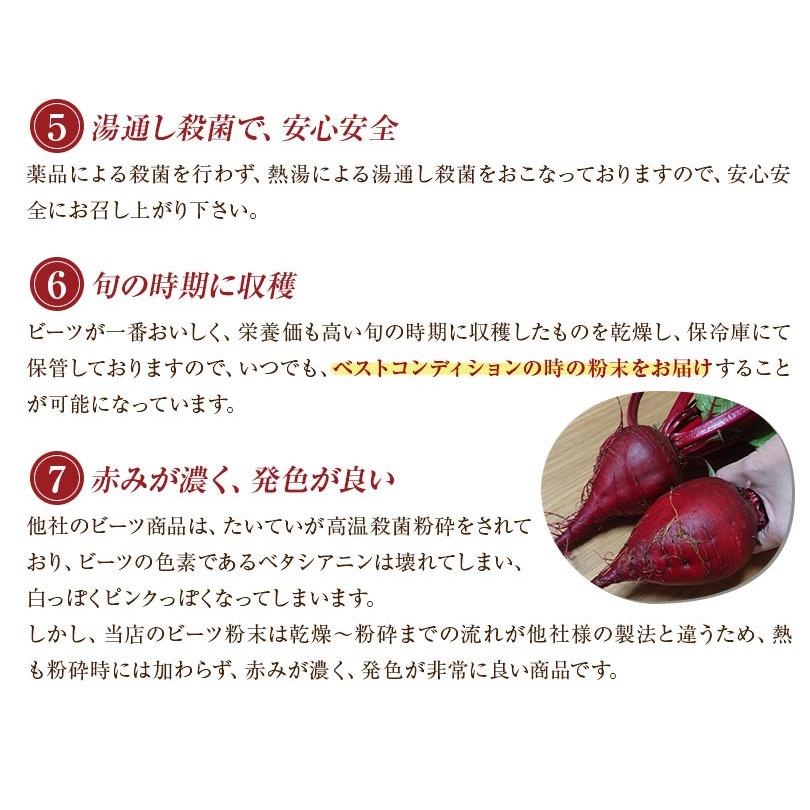 ビーツ 粉 パウダー 粉末 国産 熊本県 あさぎり町産 無添加 100 国産まっかなビーツの粉 100g 150メッシュ 送料無料 16 0352 みつぼし本舗 通販 Yahoo ショッピング