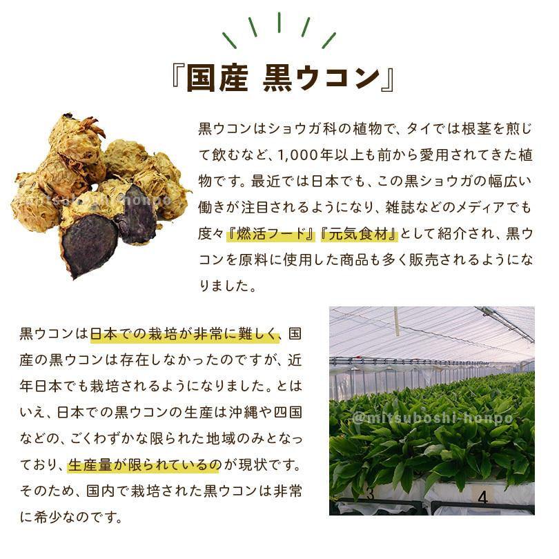 ブラックジンジャー マカ 黒ウコン クラチャイダム  サプリメント サプリ 国産ブラックジンジャー+国産マカ カプセル 90粒 約１ヶ月分 送料無料 | ブランド登録なし | 03