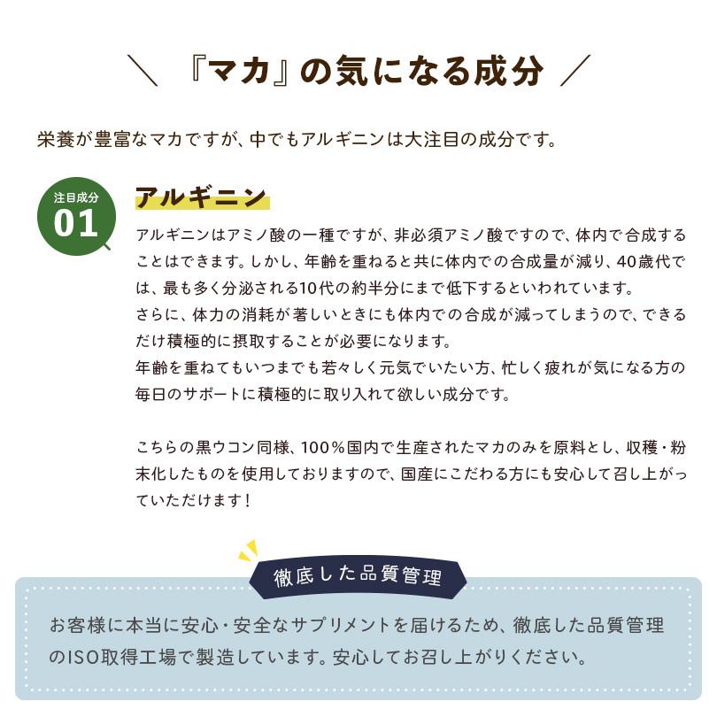 ブラックジンジャー マカ 黒ウコン クラチャイダム  サプリメント サプリ 国産ブラックジンジャー+国産マカ カプセル 90粒 約１ヶ月分 送料無料 | ブランド登録なし | 06