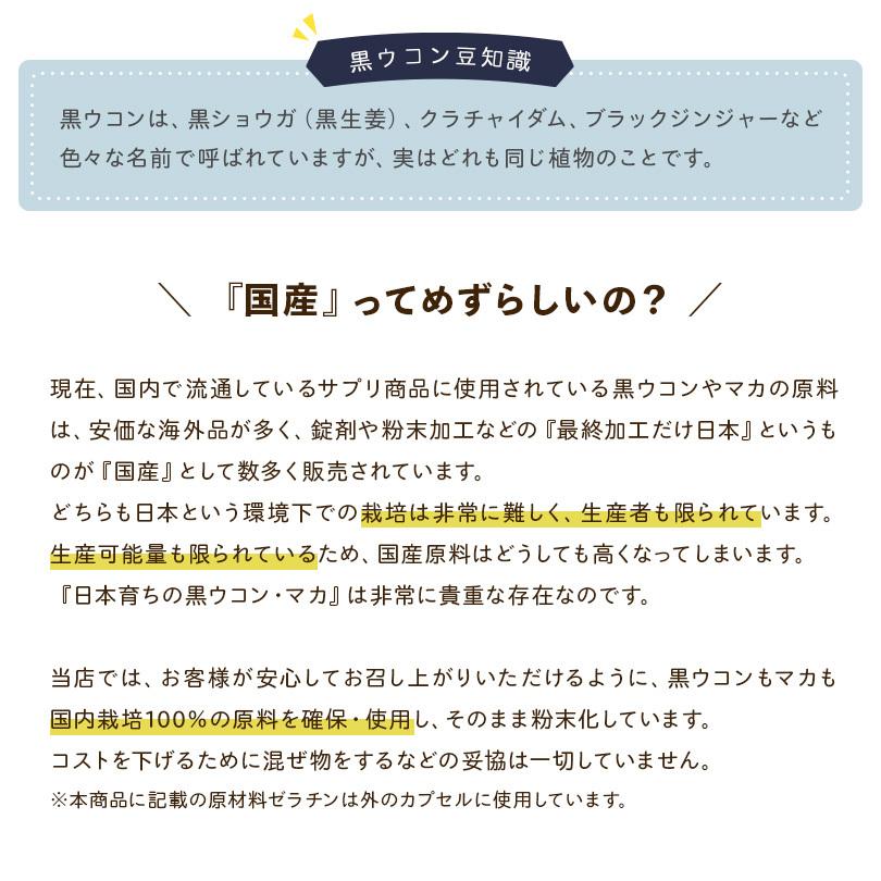 クラチャイダム マカ ブラックジンジャー 黒ウコン  サプリメント サプリ 国産クラチャイダム+国産マカ カプセル 90粒 約１ヶ月分 送料無料 | ブランド登録なし | 02