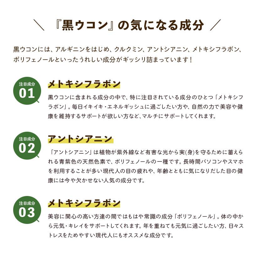 クラチャイダム マカ ブラックジンジャー 黒ウコン  サプリメント サプリ 国産クラチャイダム+国産マカ カプセル 90粒 約１ヶ月分 送料無料 | ブランド登録なし | 04