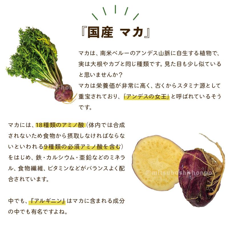 クラチャイダム マカ ブラックジンジャー 黒ウコン  サプリメント サプリ 国産クラチャイダム+国産マカ カプセル 90粒 約１ヶ月分 送料無料 | ブランド登録なし | 05