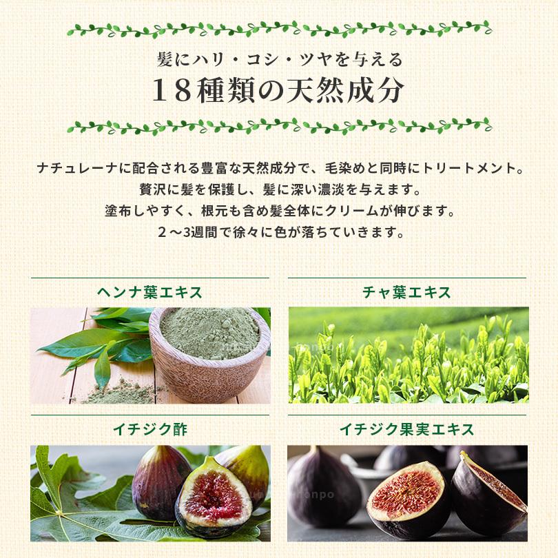 白髪染め ナチュレーナ ヘアカラーリングクリーム 3本セット ヘナ配合