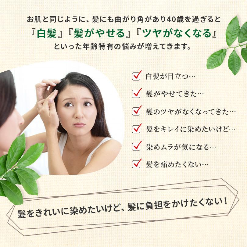 ナチュレーナ／カラーリングクリーム　3個 白髪染め ナチュレーナ ヘアカラーリングクリーム 3本セット