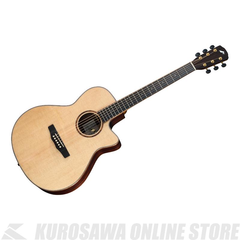 Morris SC-71 【送料無料】《アクセサリーセットプレゼント!》