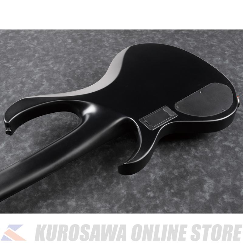 Ibanez BTB625EX-BKF [IRON LABEL]《5弦モデル》【SPOTモデル】(ご予約受付中)_2