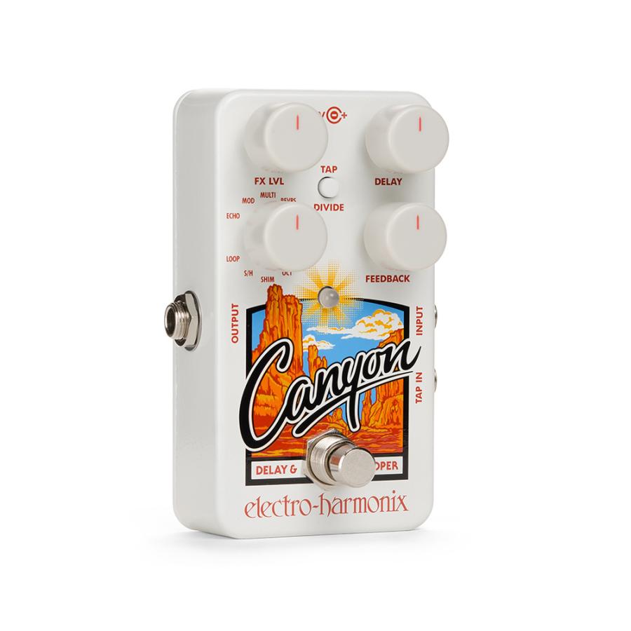 electro-harmonix Canyon [Delay & Loopers] (ディレイ/ルーパー