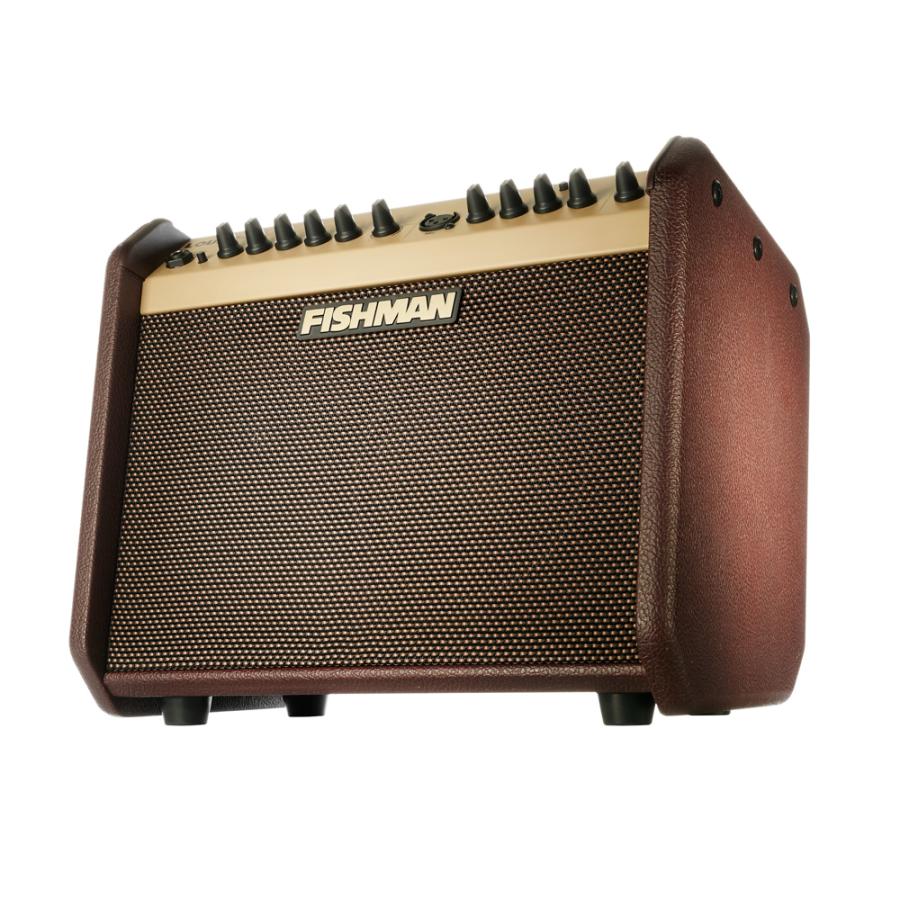FISHMAN LOUDBOX MINI Bluetooth Amplifier[PRO-LBT-JA5] 《アコースティック用アンプ》 【送料当社負担】の画像