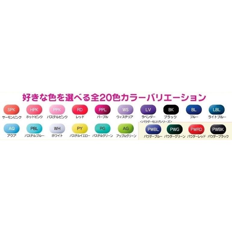 CCシャイニーケースII バリトンサックスケース (バリトンサックス用ケース) [BS] (一部・ご予約受付中)