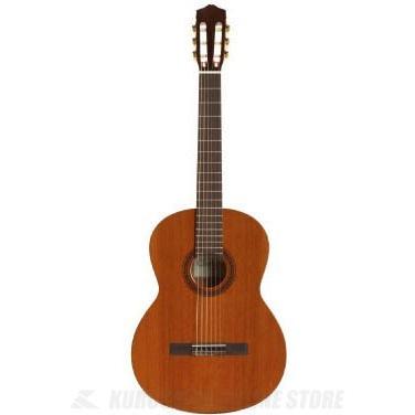 Cordoba Series Iberia C5(古典派音楽ギター) アコースティックギター、クラシックギター-楽器、器材