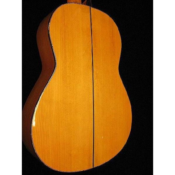 《期間限定！ポイントアップ！》ホアン・エルナンデス Profesional Flamenca(今なら足台＆有名ブランド弦が付いてくる!)の画像