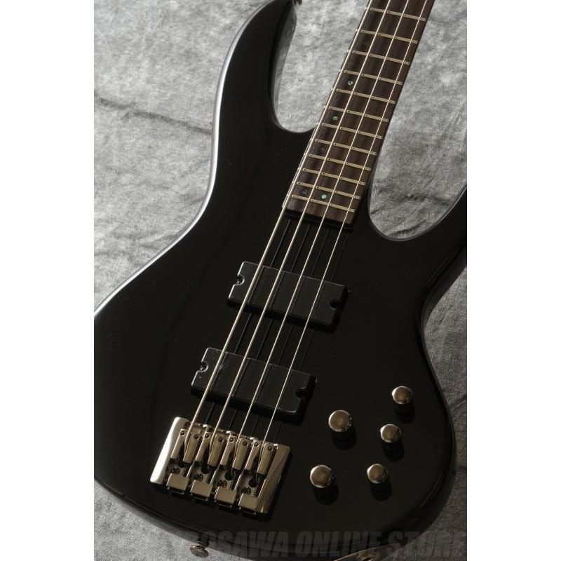 GrassRoots G-D4-75 (BK)(ベース)(送料無料)(マンスリープレゼント)(ご予約受付中)