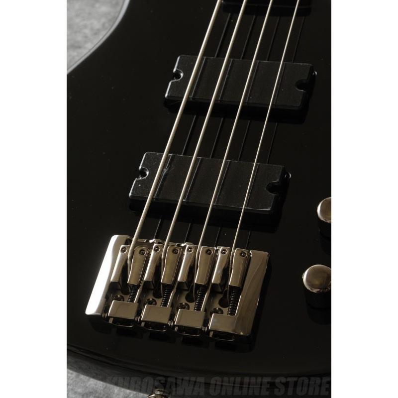GrassRoots G-D4-75 (BK)(ベース)(送料無料)(マンスリープレゼント)(ご予約受付中)